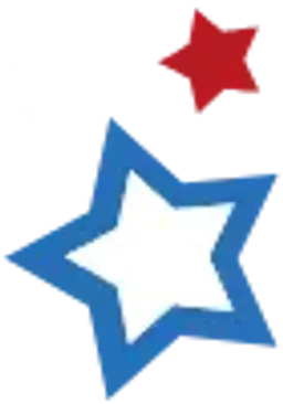 Anniversary Promo Star Icon